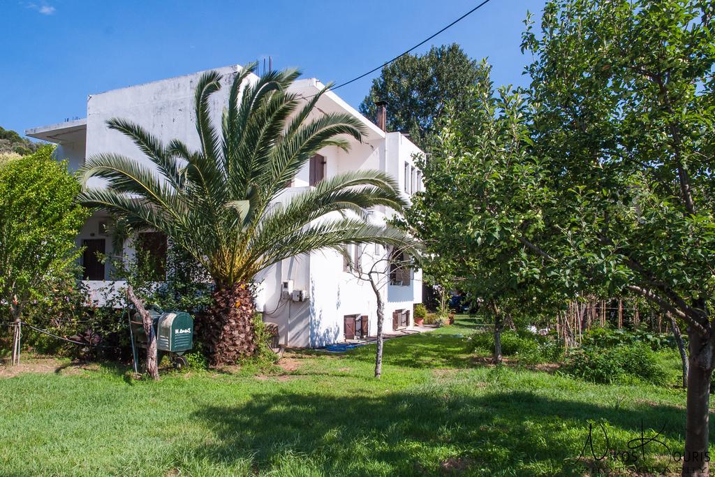 Drivas Apartments Plataniász Kültér fotó